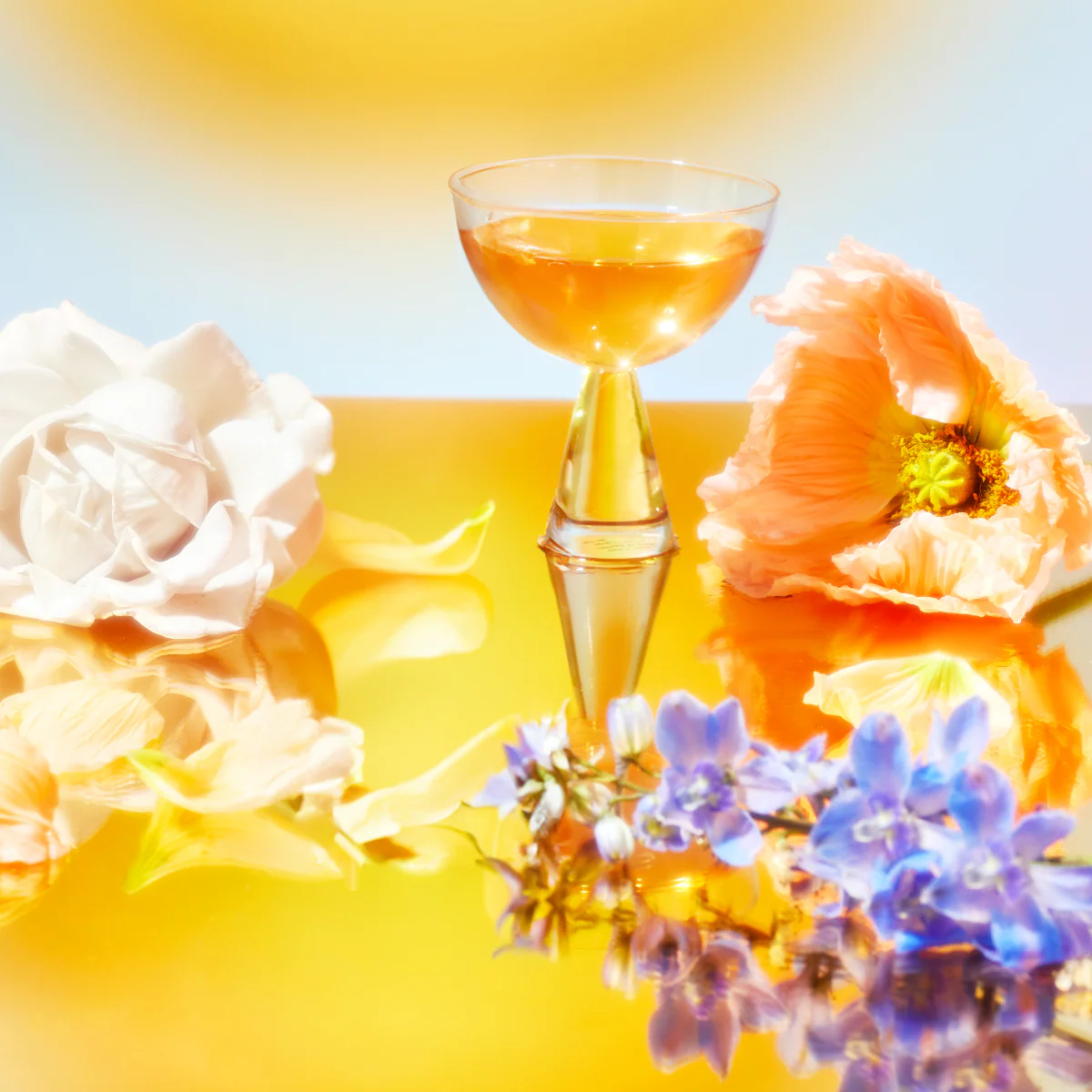 Flower & Fruit Lovers Starter Set - Image 3