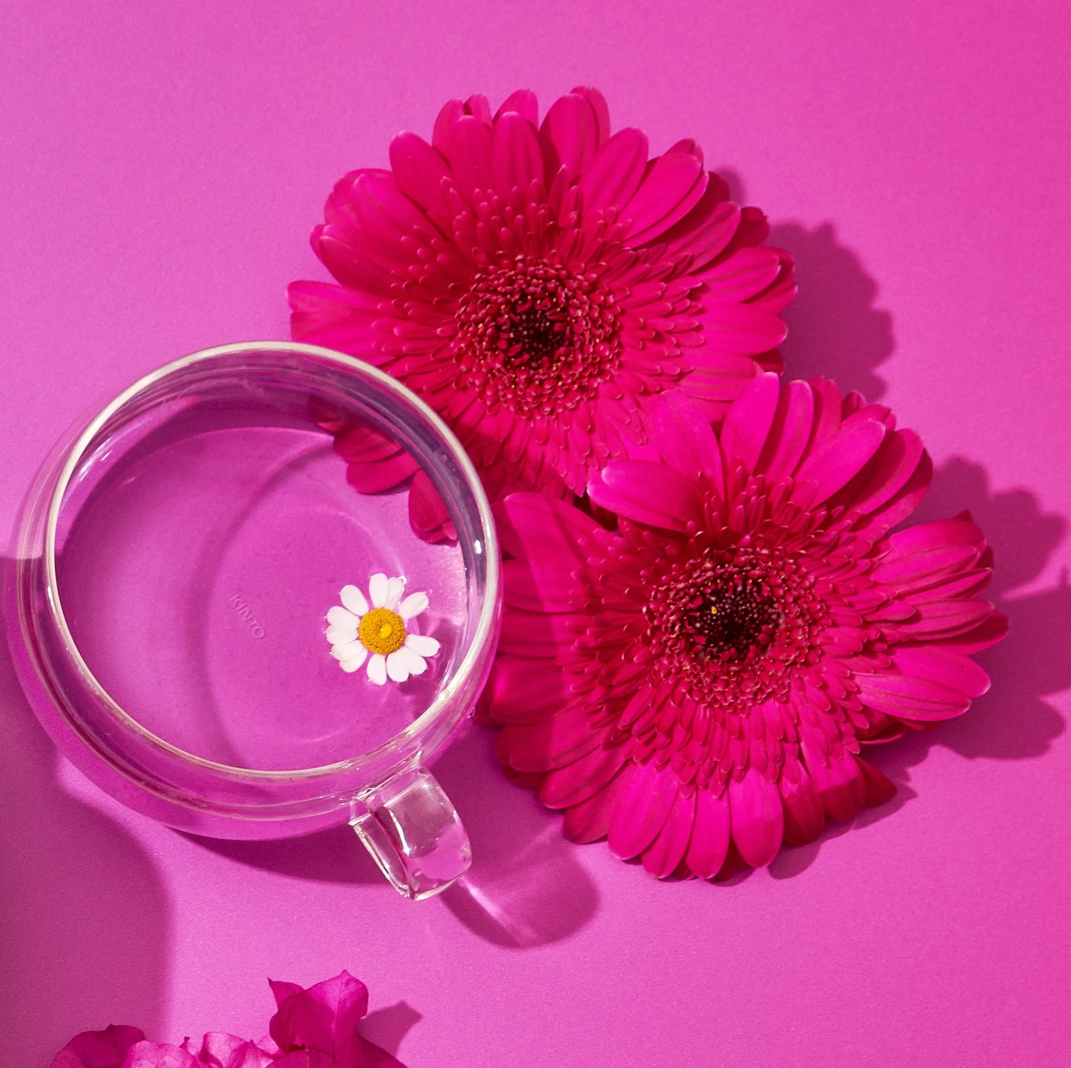 Flower & Fruit Lovers Starter Set - Image 8